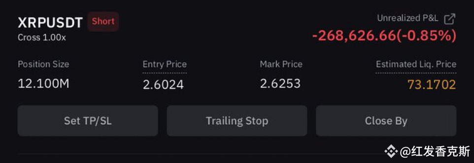 XRP：挑战巨鲸的百万美元空单与币圈生态乱象